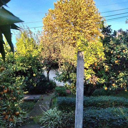 Casa Xantarim Bed & Breakfast Santarem Luaran gambar