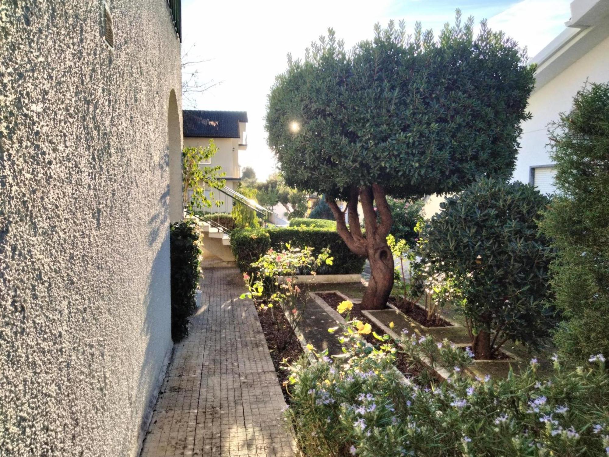 Casa Xantarim Bed & Breakfast Santarem Luaran gambar